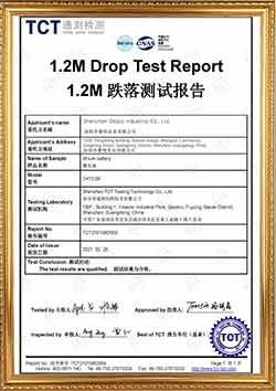 1.2M Drop Test Report