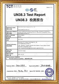 UN38.3